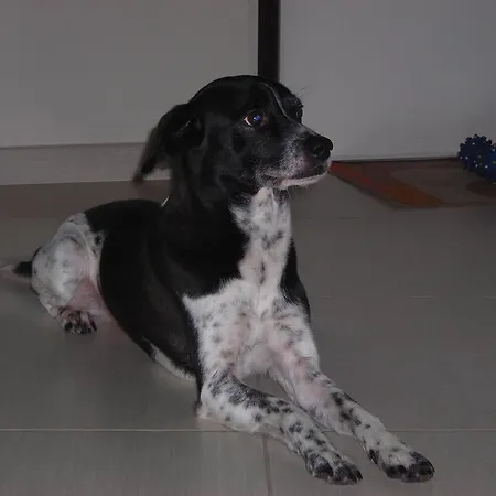 Ξενοδοχείο Astoria 3*