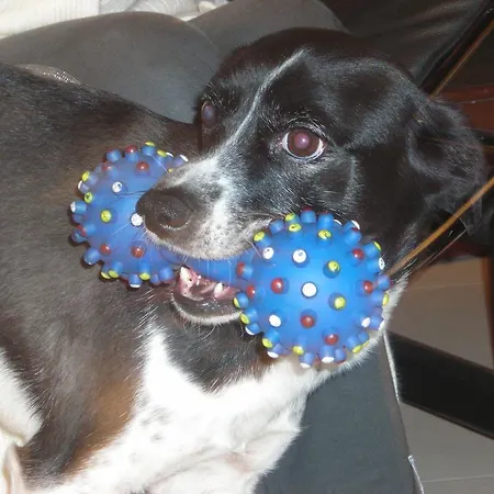 Astoria Ξενοδοχείο 3*